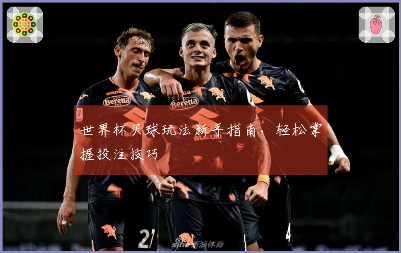 世界杯买球玩法新手指南，轻松掌握投注技巧