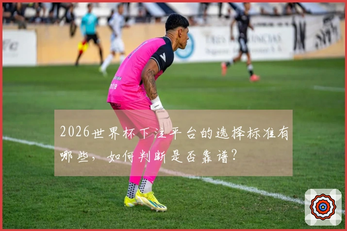 2026世界杯下注平台的选择标准有哪些，如何判断是否靠谱？