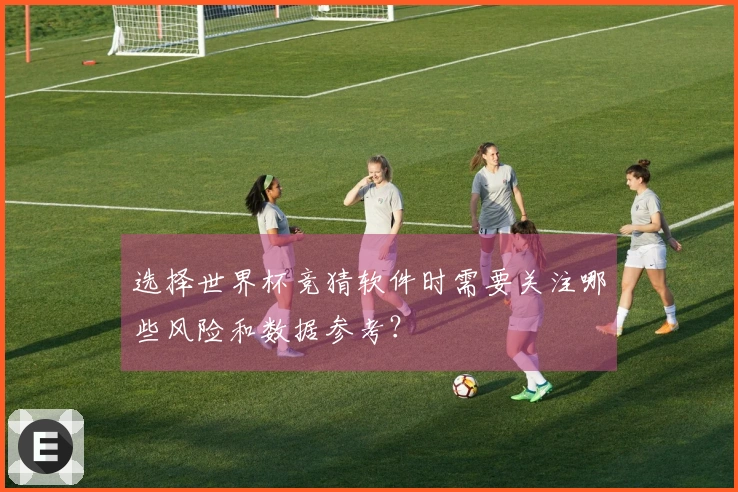 选择世界杯竞猜软件时需要关注哪些风险和数据参考？