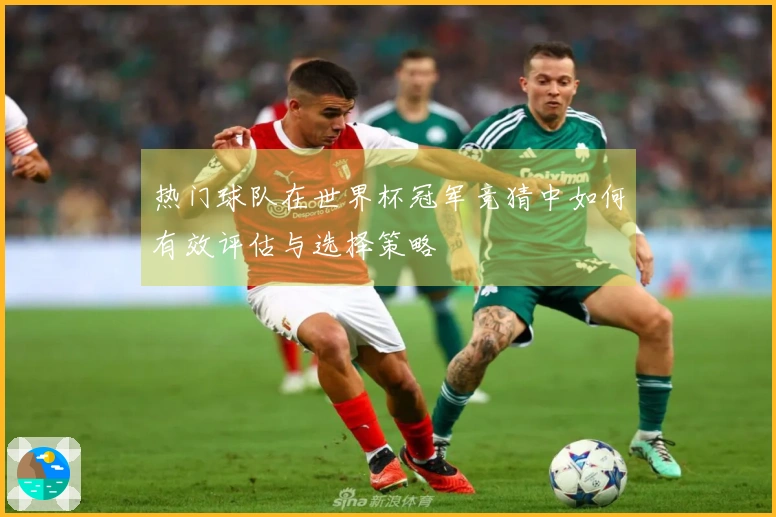 热门球队在世界杯冠军竞猜中如何有效评估与选择策略