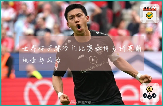 世界杯买球冷门比赛如何分析赛前机会与风险