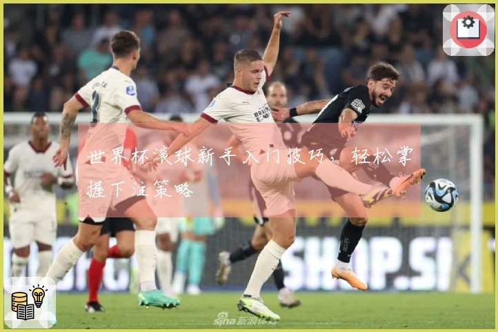 世界杯滚球新手入门技巧，轻松掌握下注策略