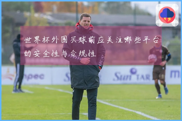 世界杯外围买球前应关注哪些平台的安全性与合规性