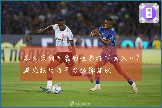 怎么买到可靠的世界杯下注入口？避坑技巧与平台选择建议