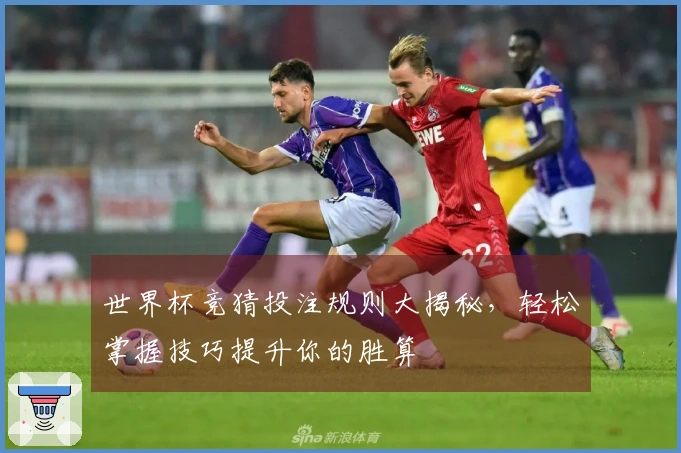 世界杯竞猜投注规则大揭秘，轻松掌握技巧提升你的胜算