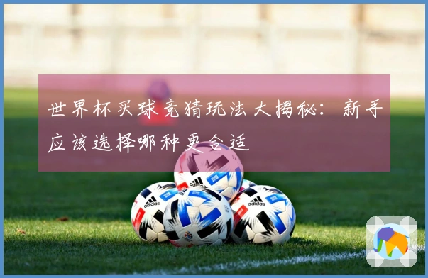世界杯买球竞猜玩法大揭秘：新手应该选择哪种更合适