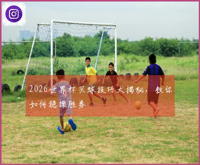 2026世界杯买球技巧大揭秘,教你如何稳操胜券
