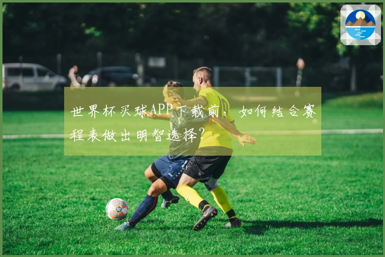 世界杯买球APP下载前，如何结合赛程表做出明智选择？