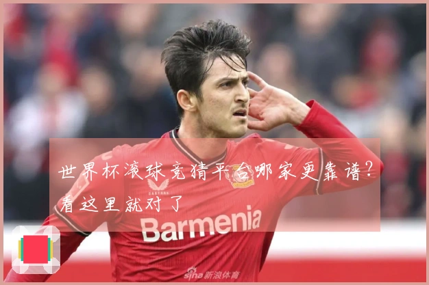 世界杯滚球竞猜平台哪家更靠谱？看这里就对了
