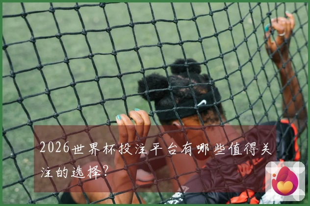 2026世界杯投注平台有哪些值得关注的选择？