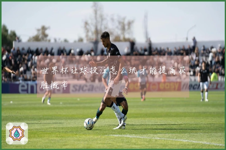 世界杯让球投注怎么玩才能提高获胜概率