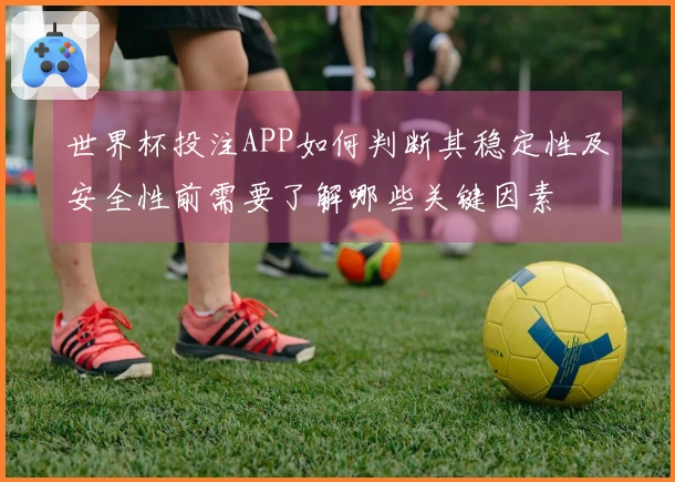 世界杯投注APP如何判断其稳定性及安全性前需要了解哪些关键因素