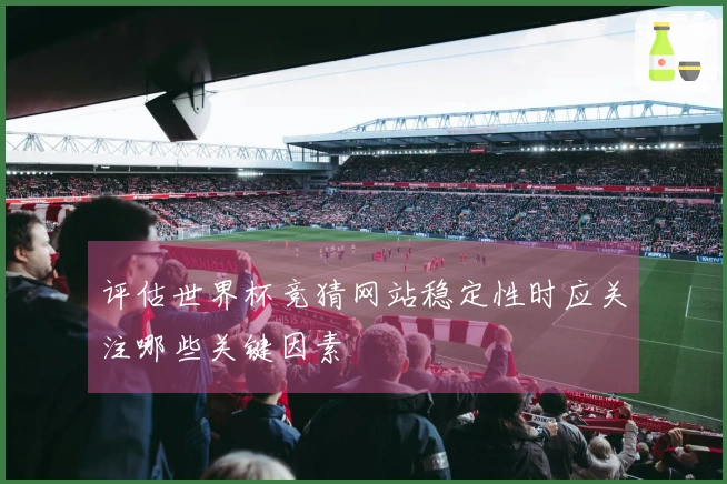 评估世界杯竞猜网站稳定性时应关注哪些关键因素