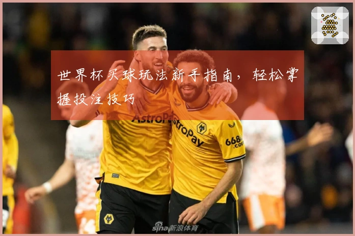 世界杯买球玩法新手指南，轻松掌握投注技巧