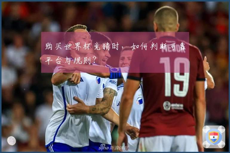 购买世界杯竞猜时，如何判断可靠平台与规则？