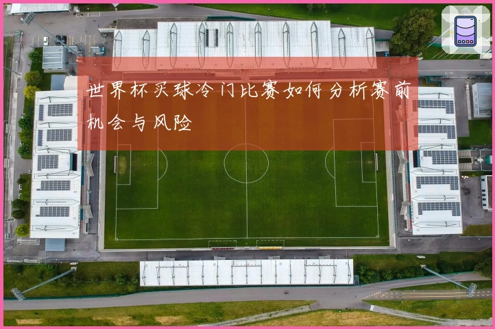 世界杯买球冷门比赛如何分析赛前机会与风险