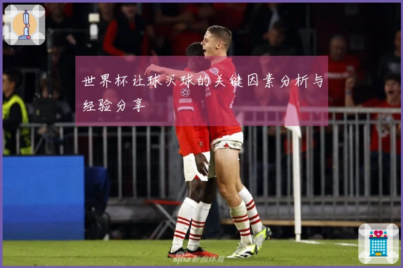 世界杯让球买球的关键因素分析与经验分享