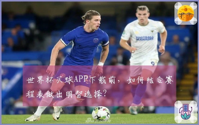 世界杯买球APP下载前，如何结合赛程表做出明智选择？