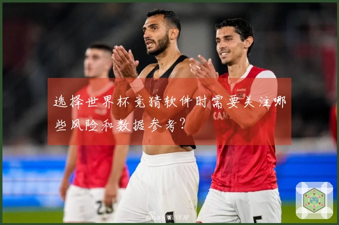 选择世界杯竞猜软件时需要关注哪些风险和数据参考？