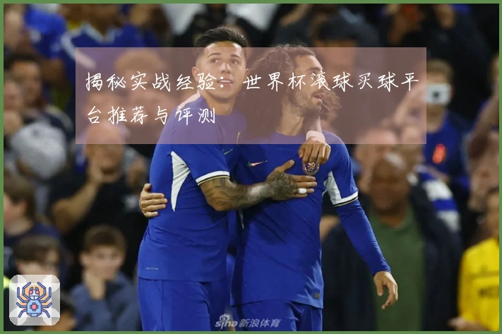 揭秘实战经验：世界杯滚球买球平台推荐与评测