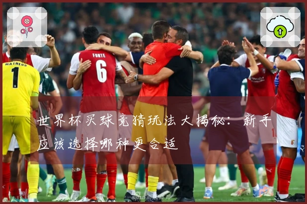 世界杯买球竞猜玩法大揭秘：新手应该选择哪种更合适