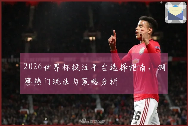 2026世界杯投注平台选择指南，洞察热门玩法与策略分析
