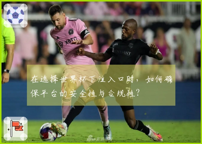 在选择世界杯下注入口时，如何确保平台的安全性与合规性？