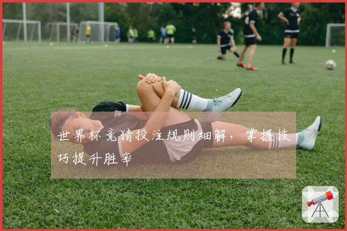世界杯竞猜投注规则细解,掌握技巧提升胜率
